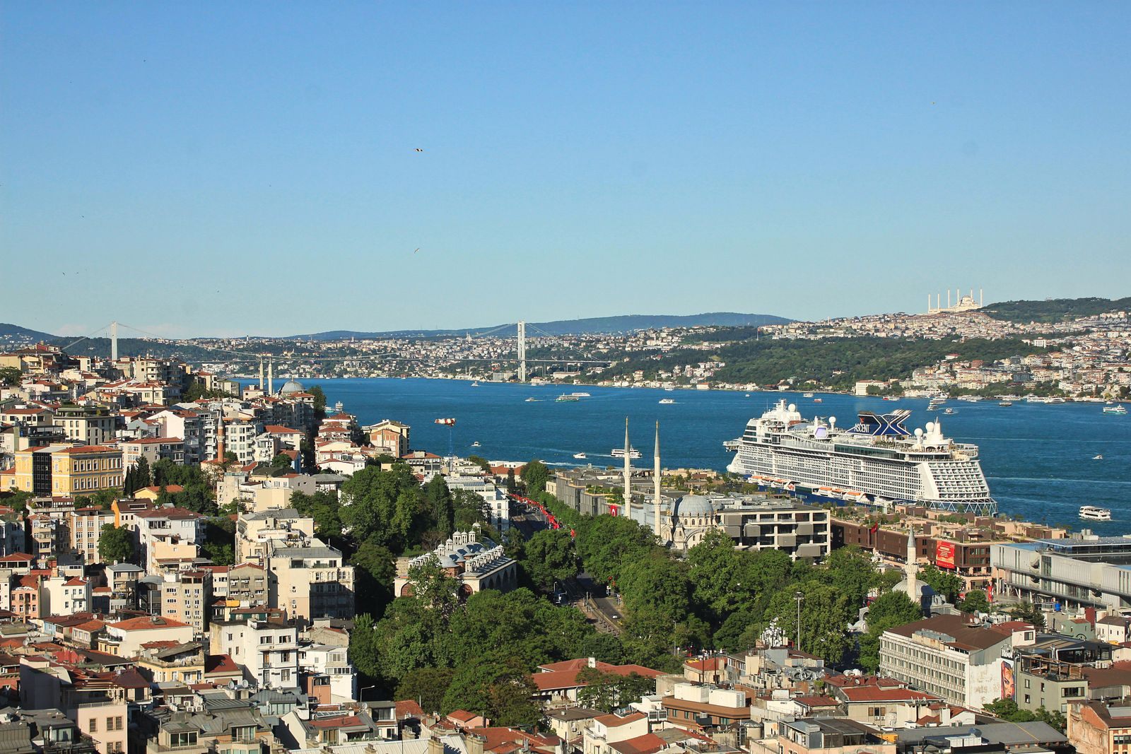 Cruise ship docked on a city waterfront seen from the hills above