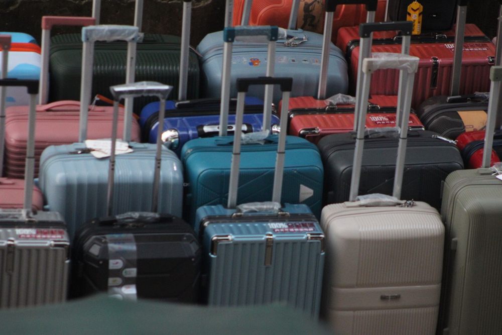 Rows of hard-shell suitcases lined up together